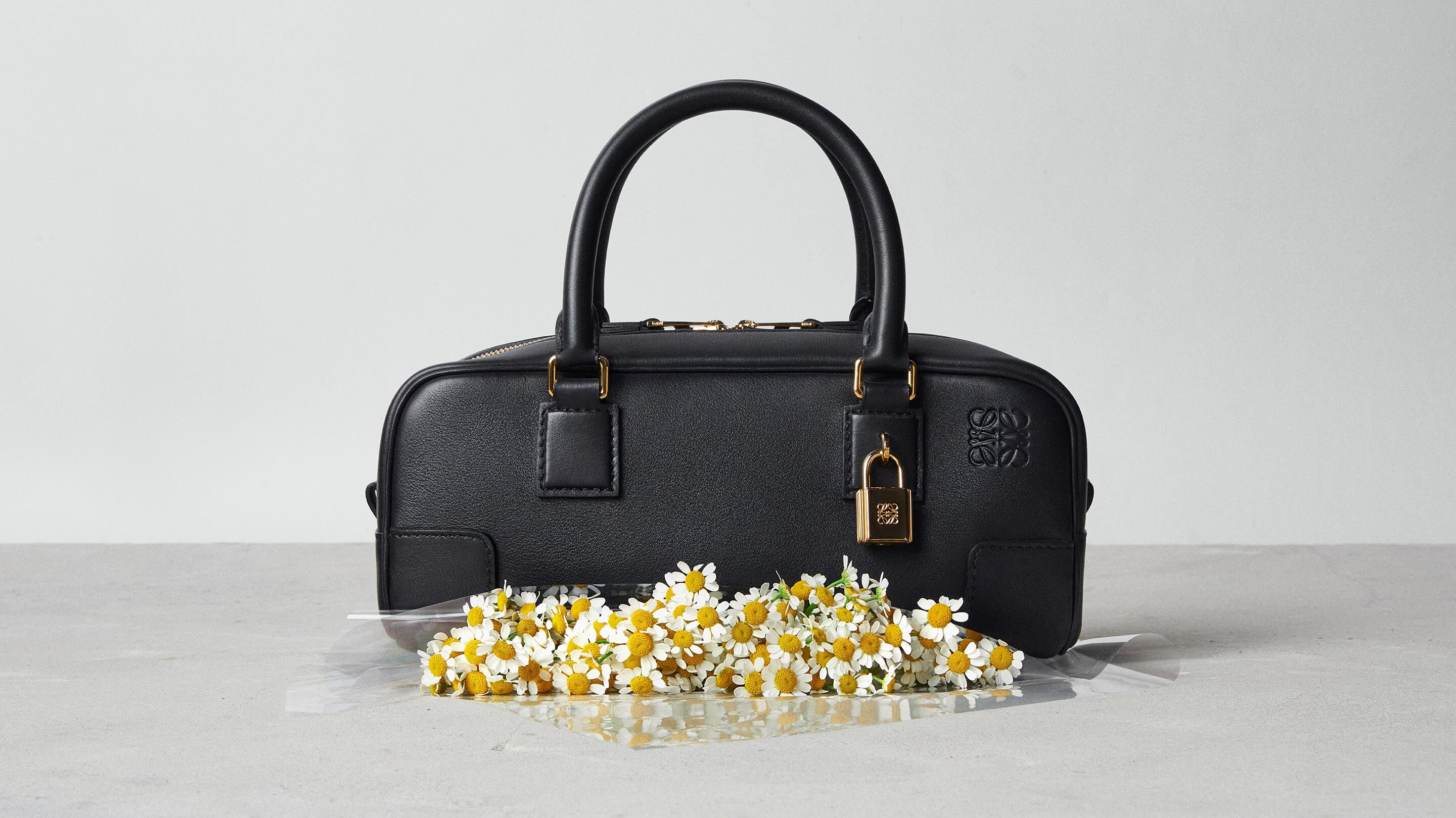 美品  ウィメンズ ロエベ アマゾナバッグ｜アマゾナパースコレクション - LOEWE バッグ